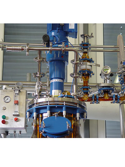 Dry running ATEX stirrer drive