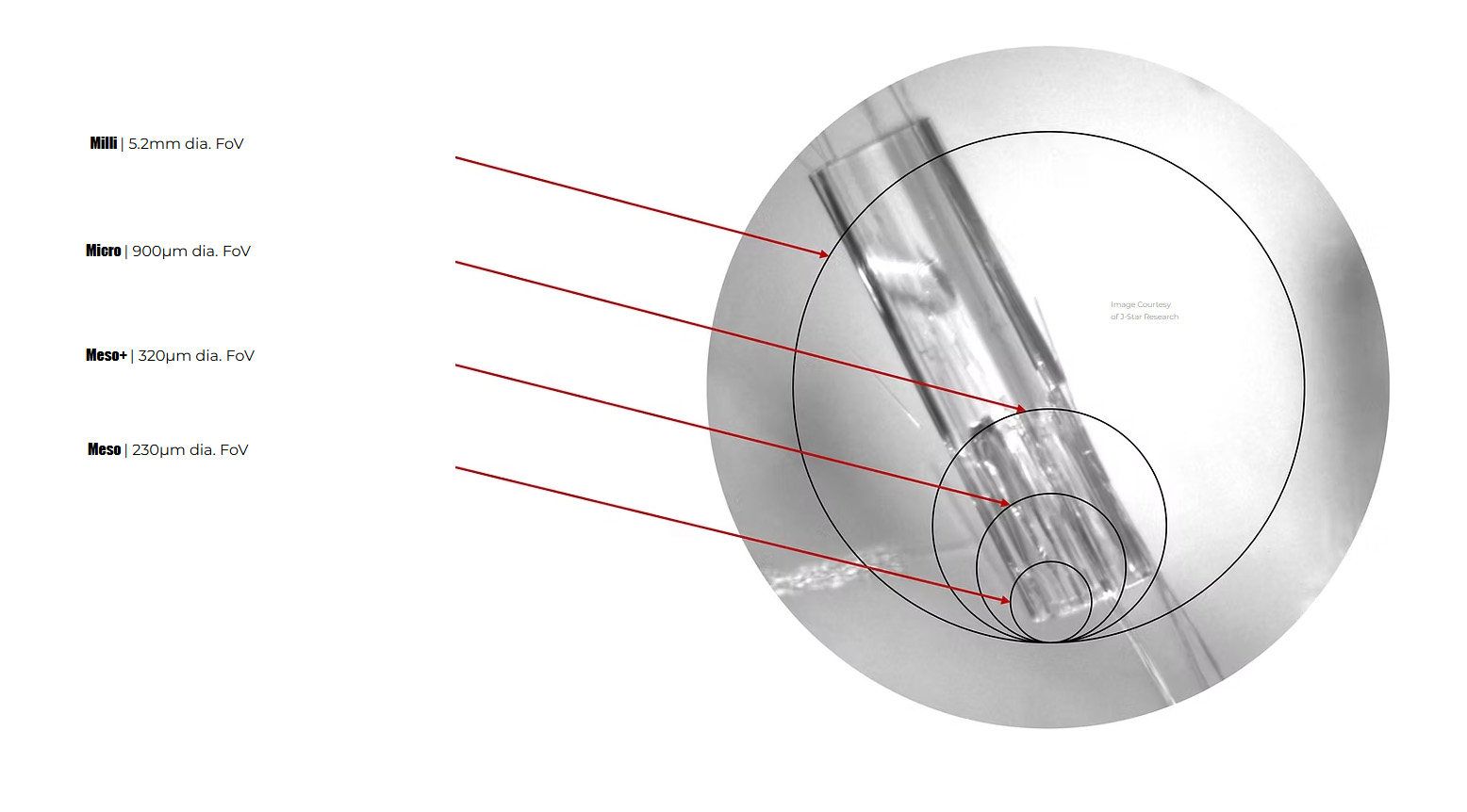 Microscopy Field of View (FoV) Options